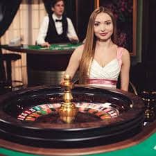 q798 Live Casino